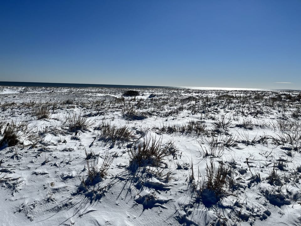 Winterscape, dunes and ocean