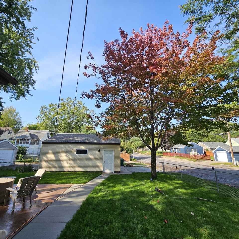 back yard & off street parking