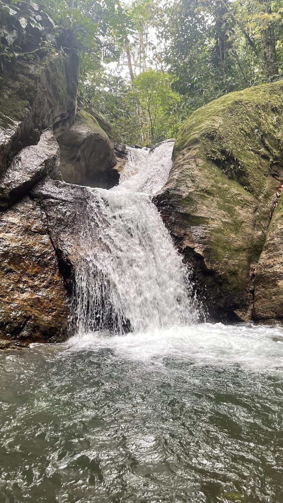 Miscellaneous