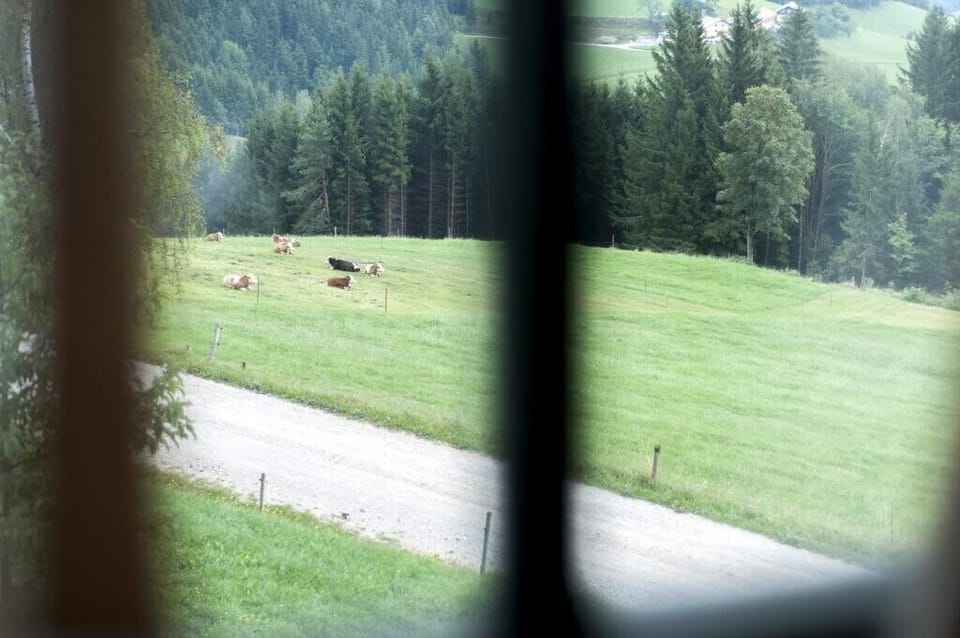 Room view