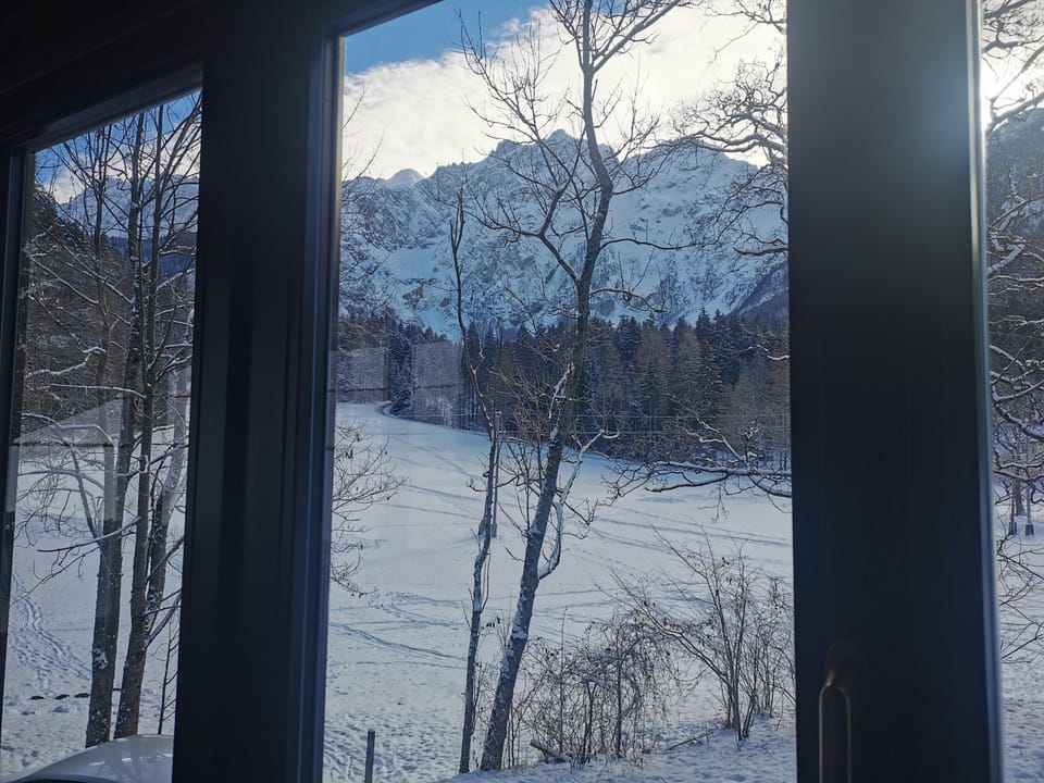 View from room