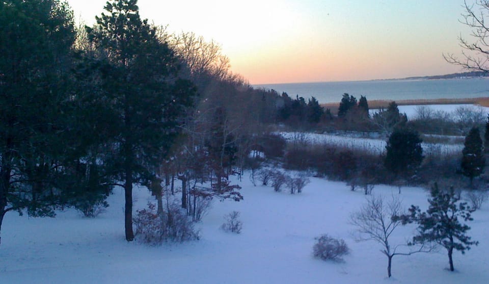 Winter view of meadow and woods