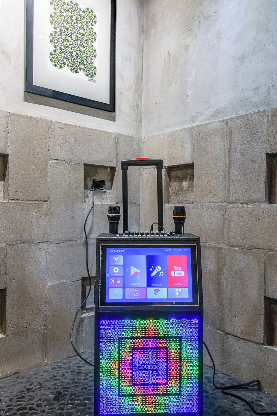 Sing your heart out with the professional karaoke system, complete with dual microphones and colorful LED display.