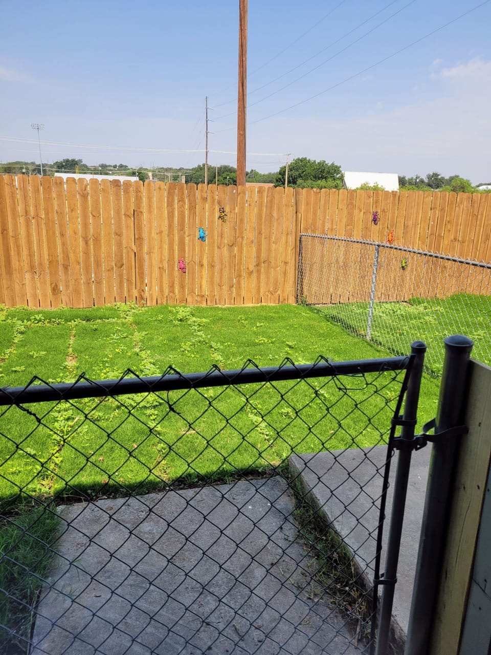Property grounds