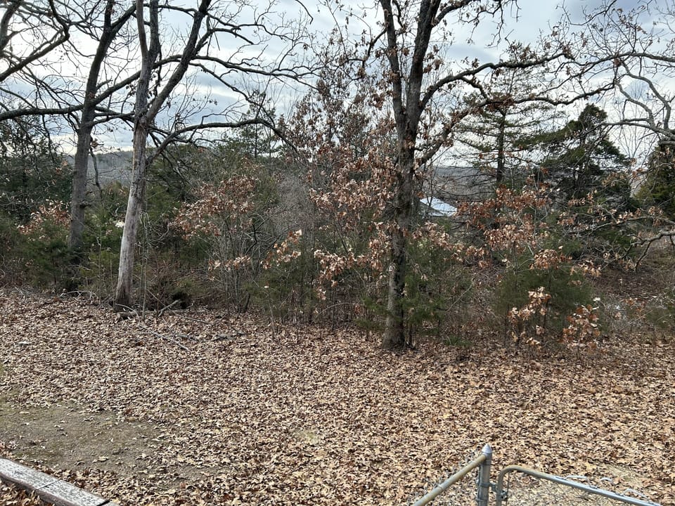 Mountain view from backyard porch