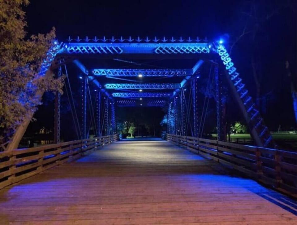 pedestrian bridge at the park nearby
