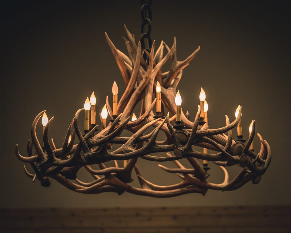 Enjoy the modern and elegant decor.