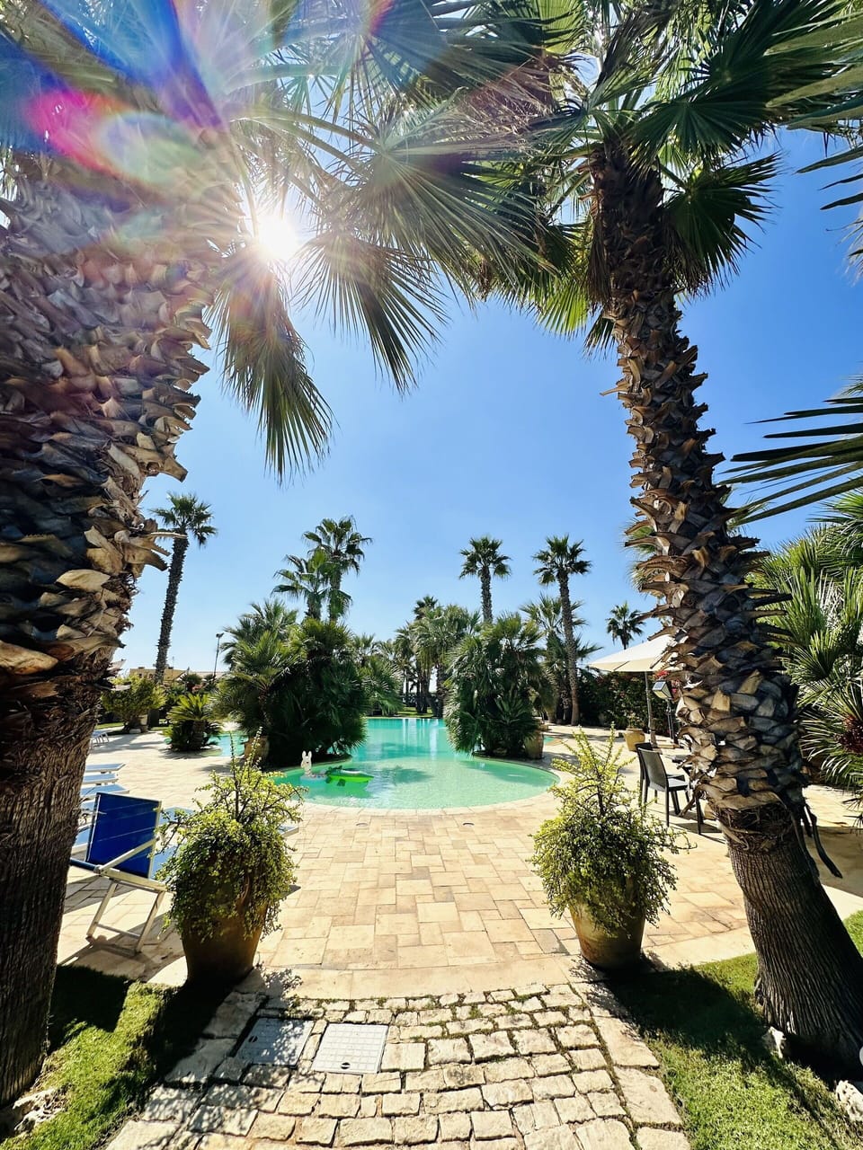 Garden, Outdoor, Pool, Summer