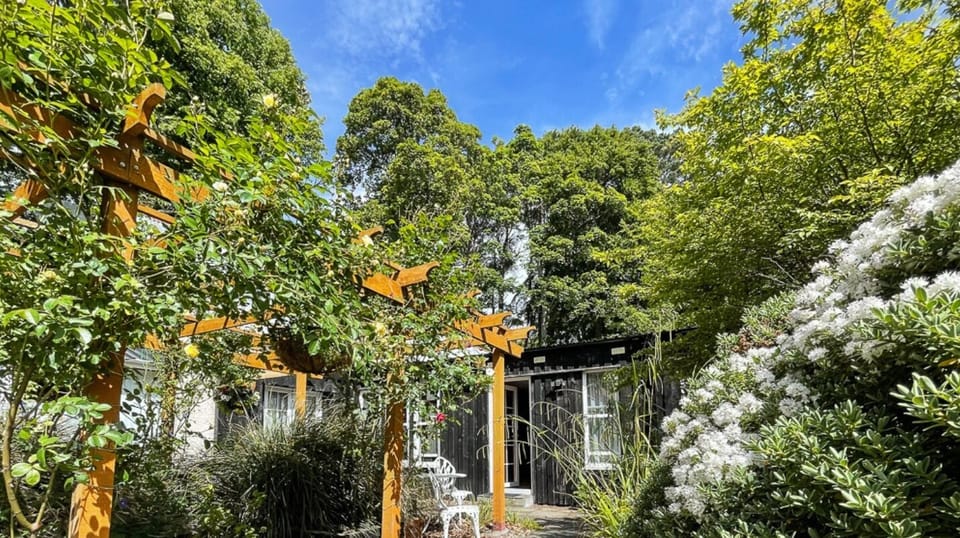 Amazing Flowers in Summer