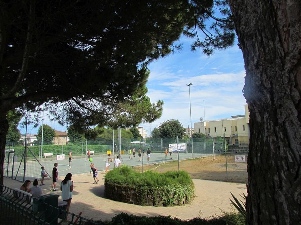 Sport court
