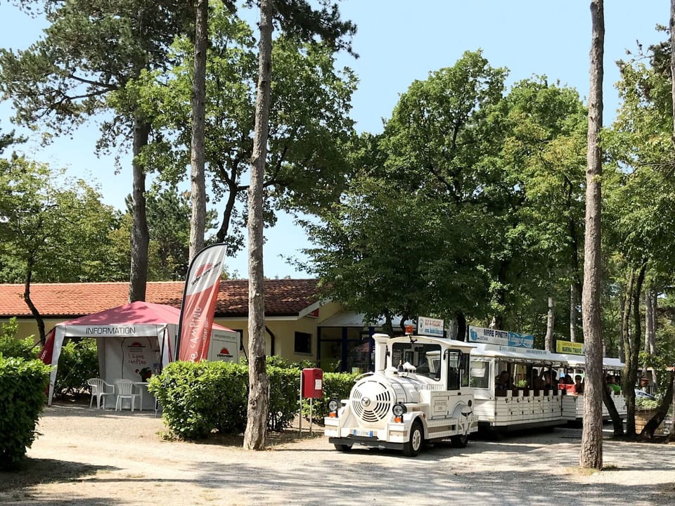 Plant, Wheel, Sky, Vehicle, Tree, Motor Vehicle, Shade, Asphalt, Road Surface