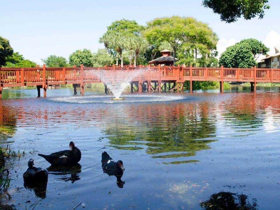 Lush / tropical grounds