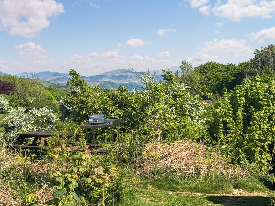 your grill will a view | Deer Close - Woodland Retreats, Millom