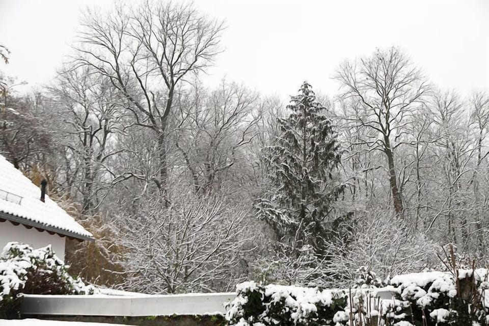 Immediate Surroundings [winter] (<1 km)