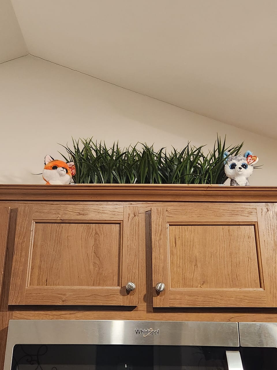 Our Mascots,  V and W. (Vixen and Wolf) 