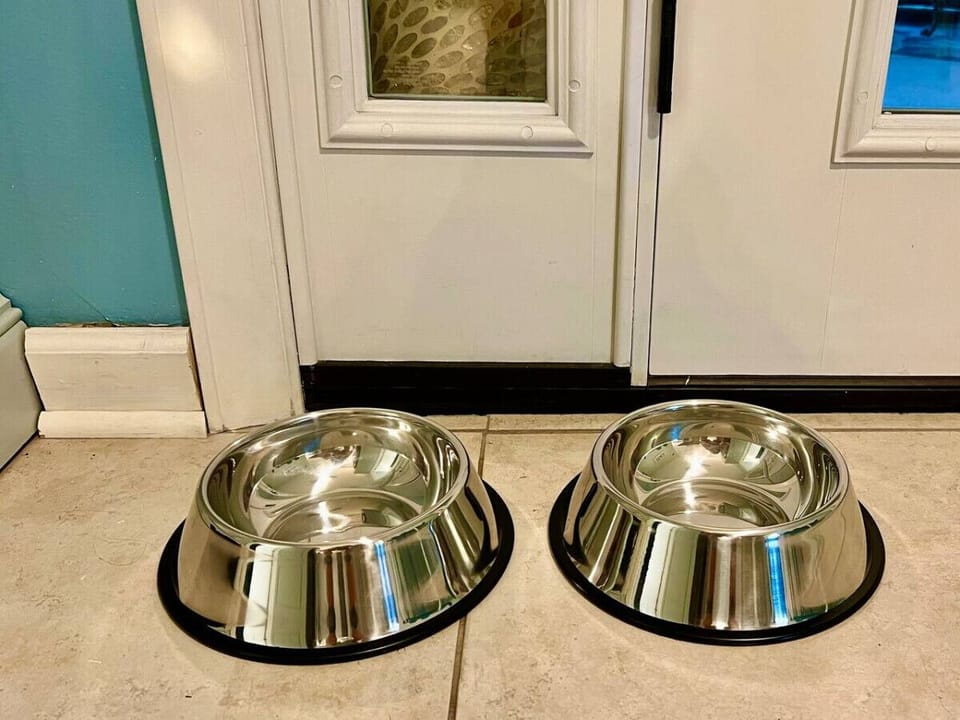 Under the Sea feels like all guests (even the four legged kind) should eat and drink in style so large stainless steel non-skid bowls are provided.