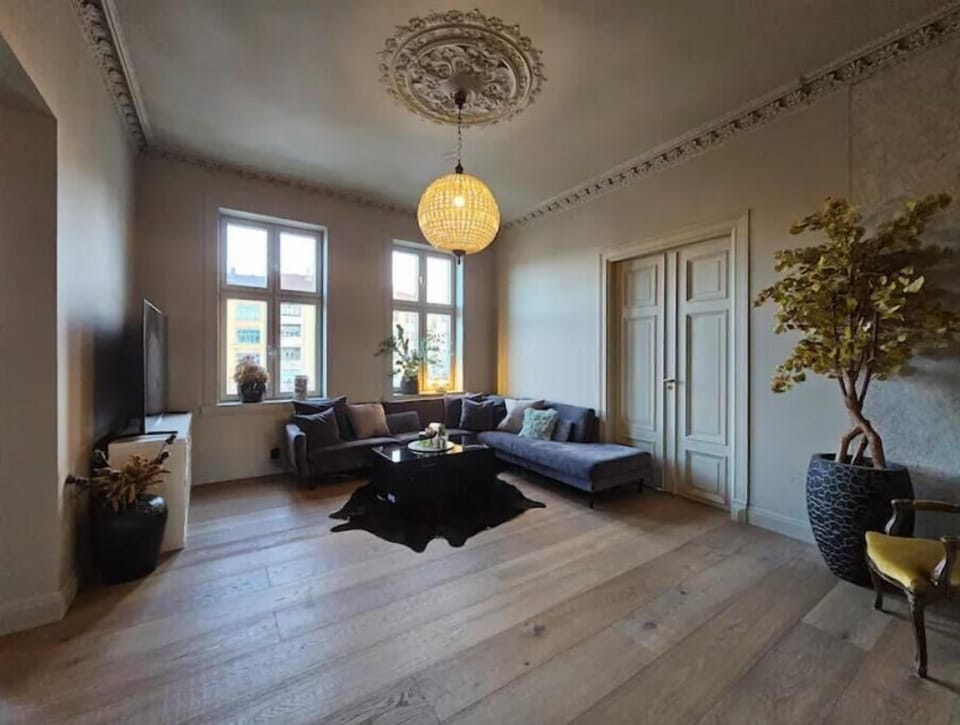 Living room has lounge sofa and sleeping sofa for two people