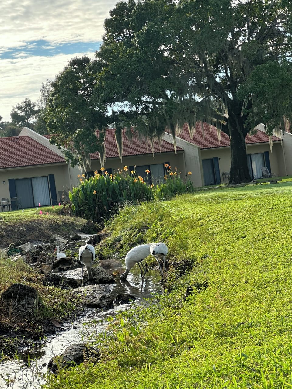 Property grounds