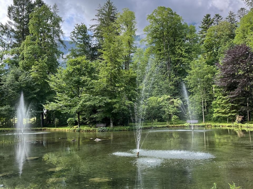 Tonis Appartements - Appartement/fewo, Dusche und Bad, WC, 1 Schlafraum Apartment in Berchtesgadener Land