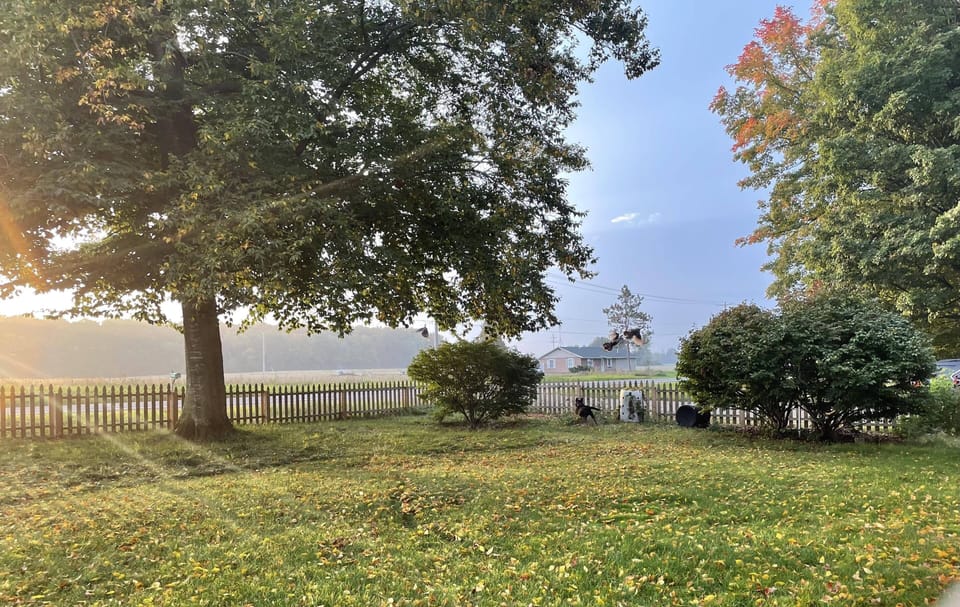 Front Yard