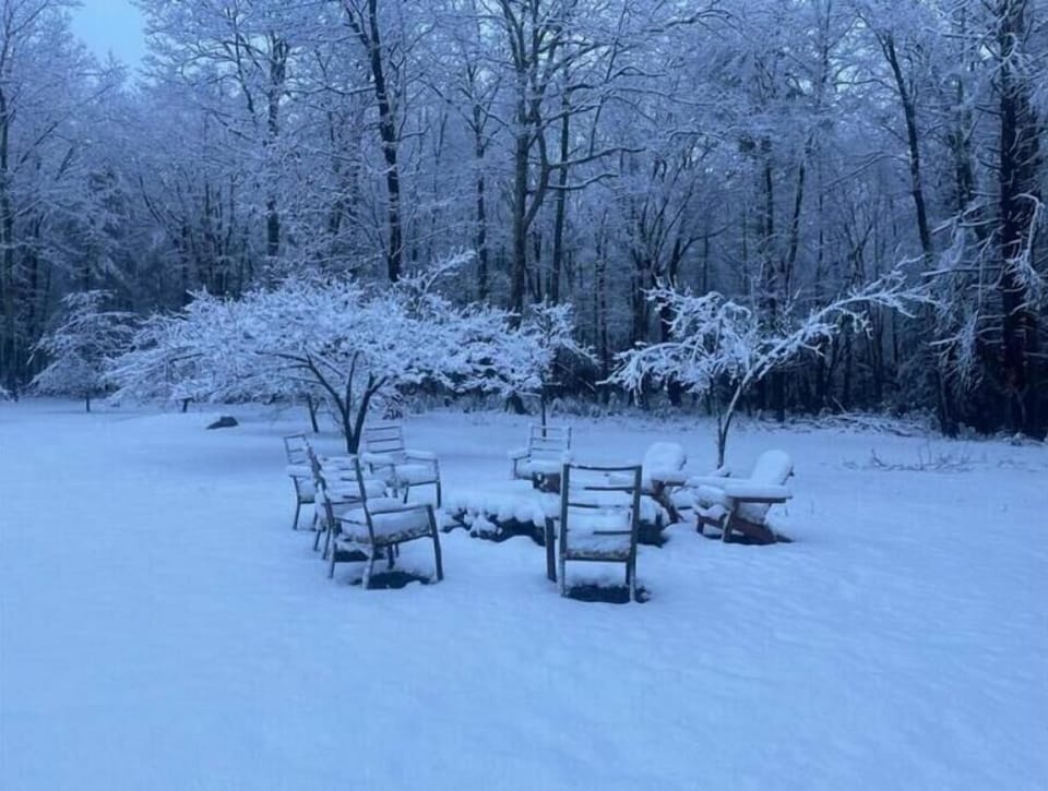 Amazing fully private yard with 15 acres of woods with trails