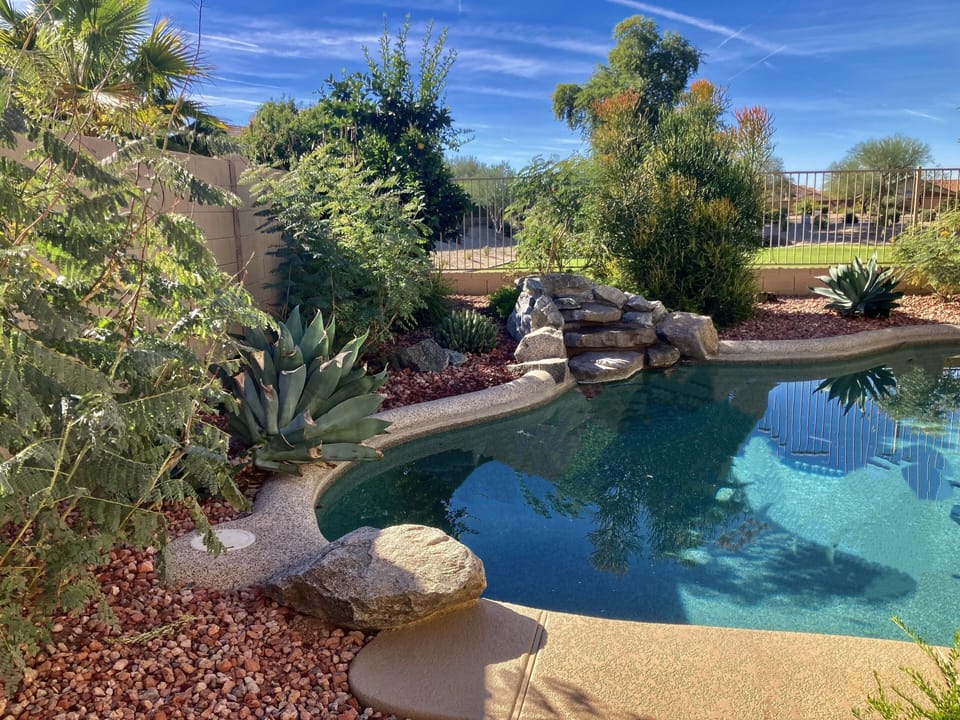 Private backyard pool 