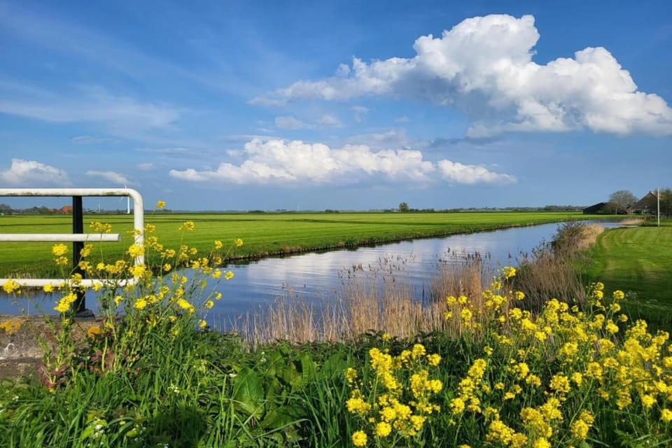 Surroundings [summer] (1-5 km)