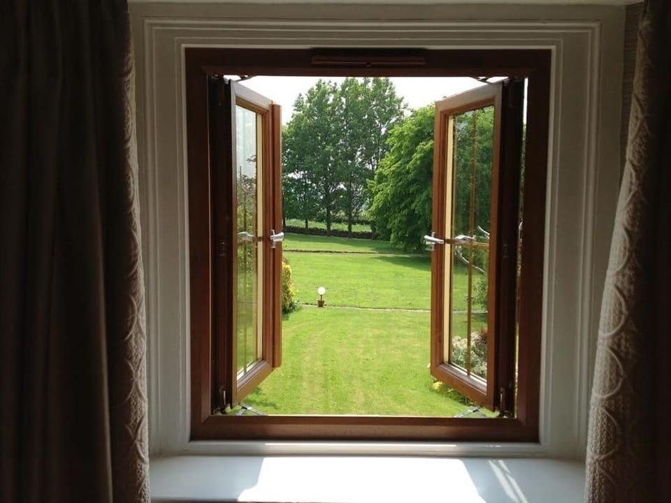 View from Window