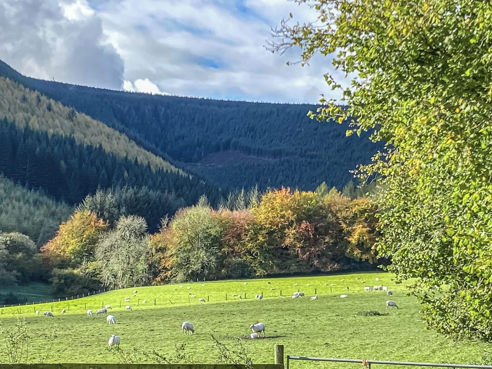 Surrounding area | The Old Stables, Presteigne