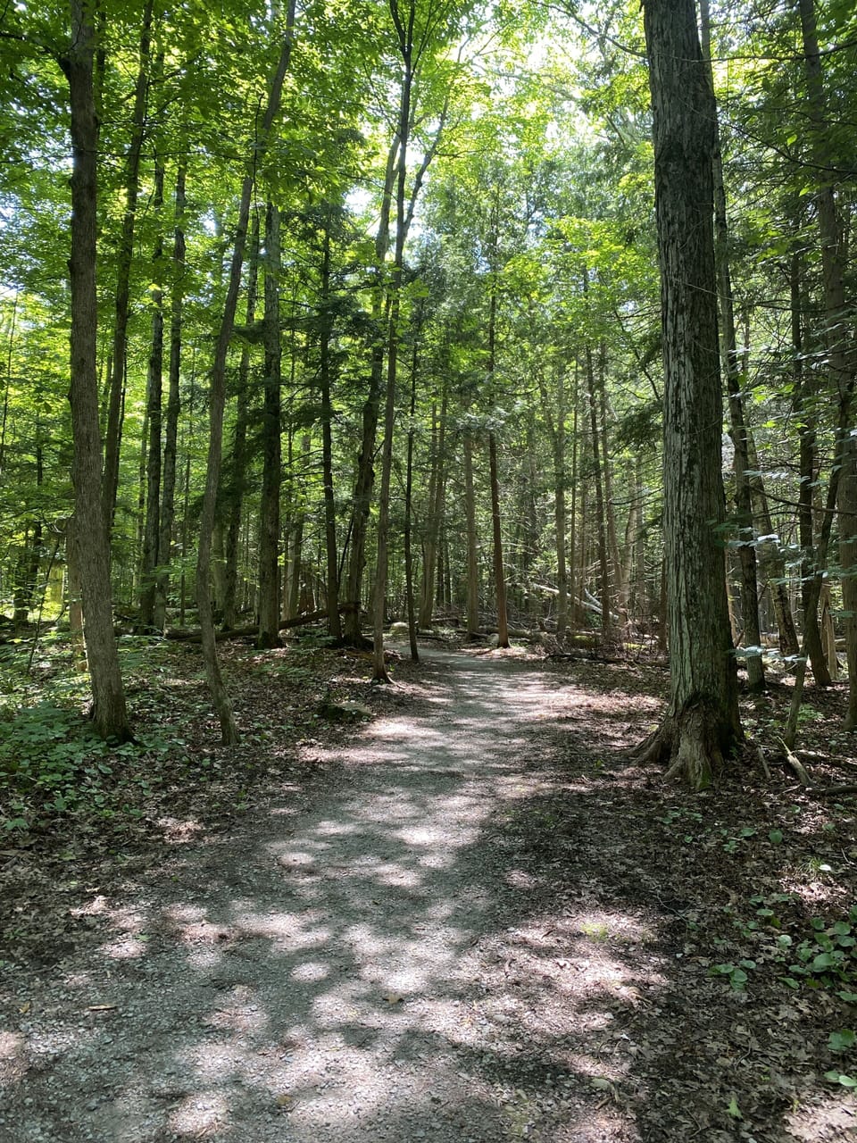 Trails