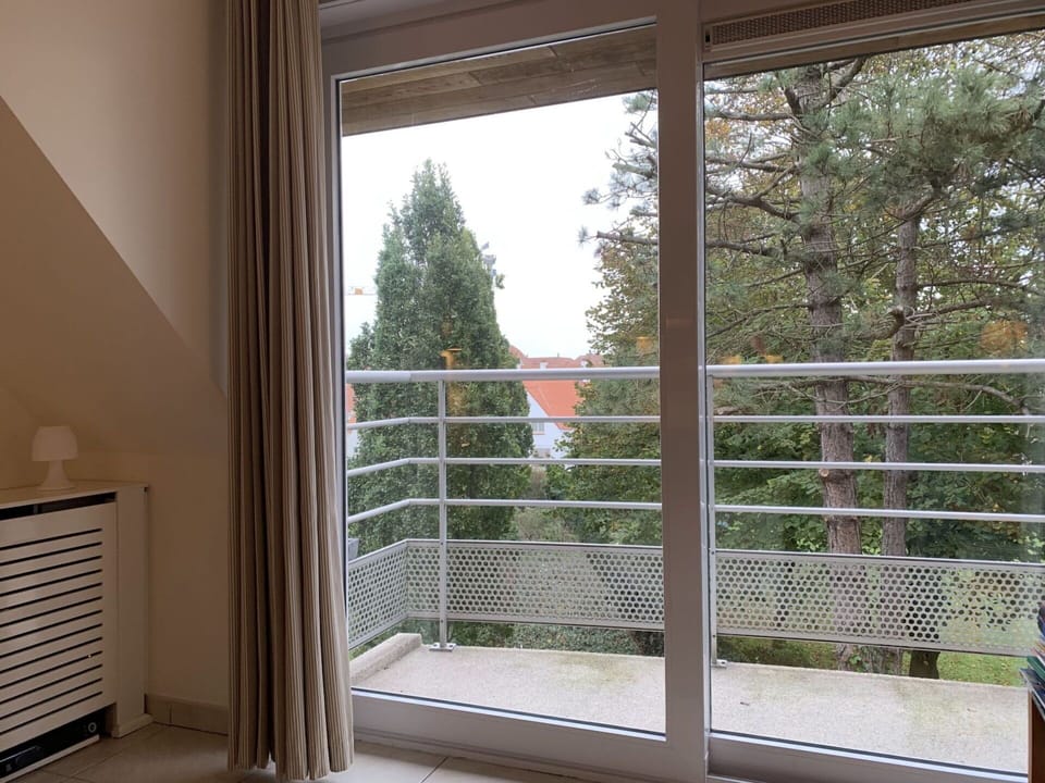 Property, Sky, Building, Shade, Wood, Tree, Plant, Window, Door