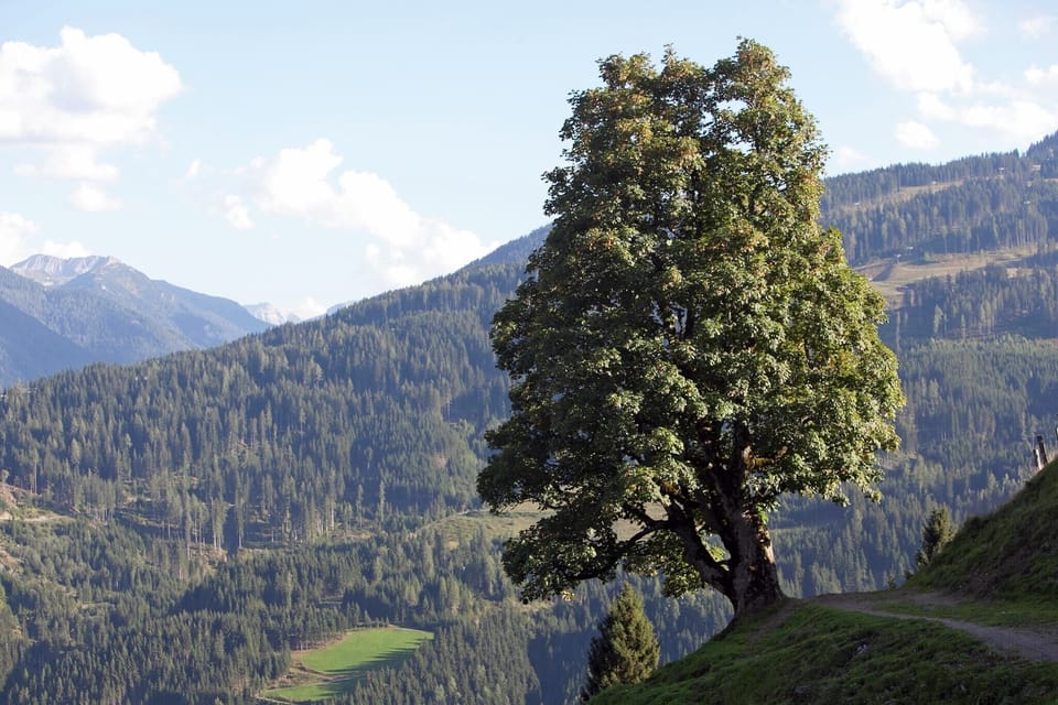 Surroundings [summer] (1-5 km)