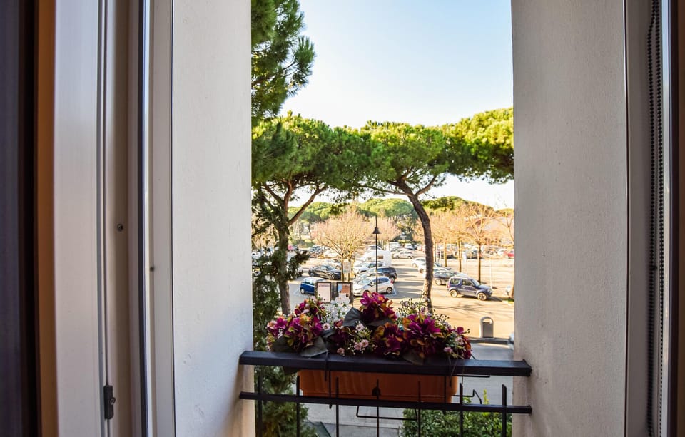 view-from-room