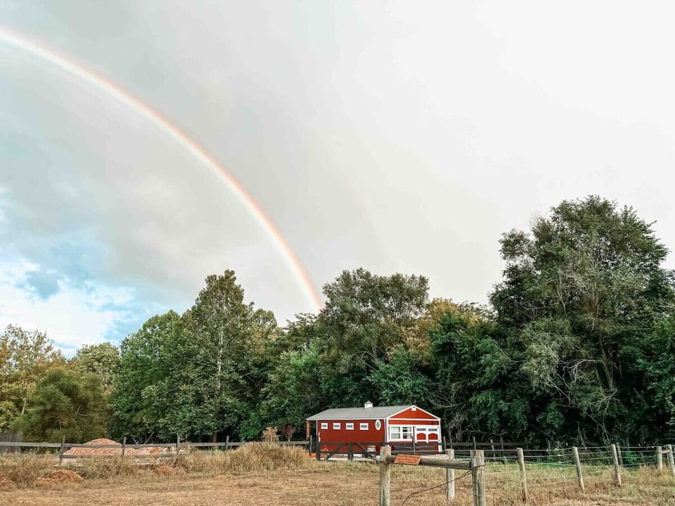 Tucked under rainbows and surrounded by trees- your peaceful escape awaits at Ruby Red Cabin.