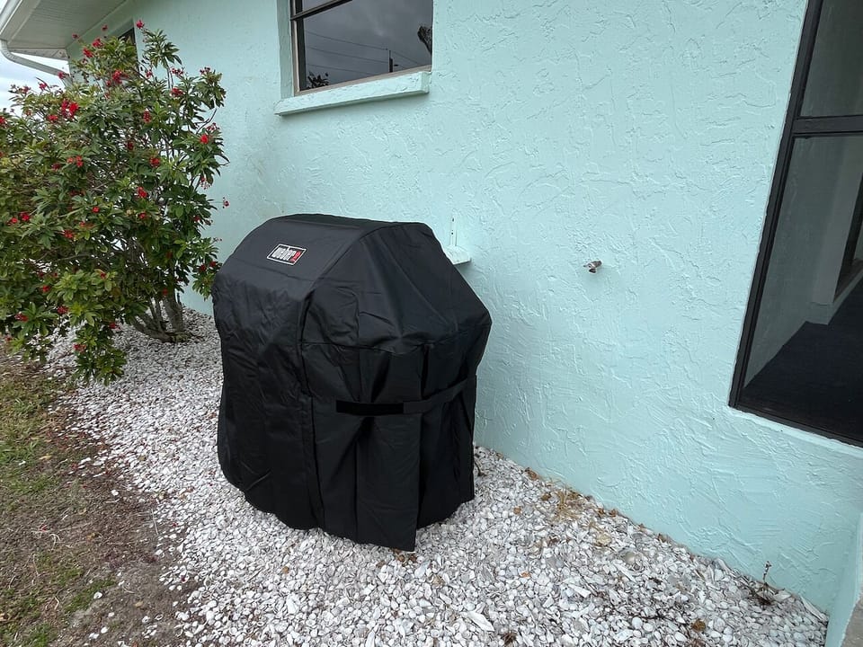 New Weber Gas Grill