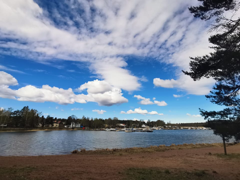 Image 13