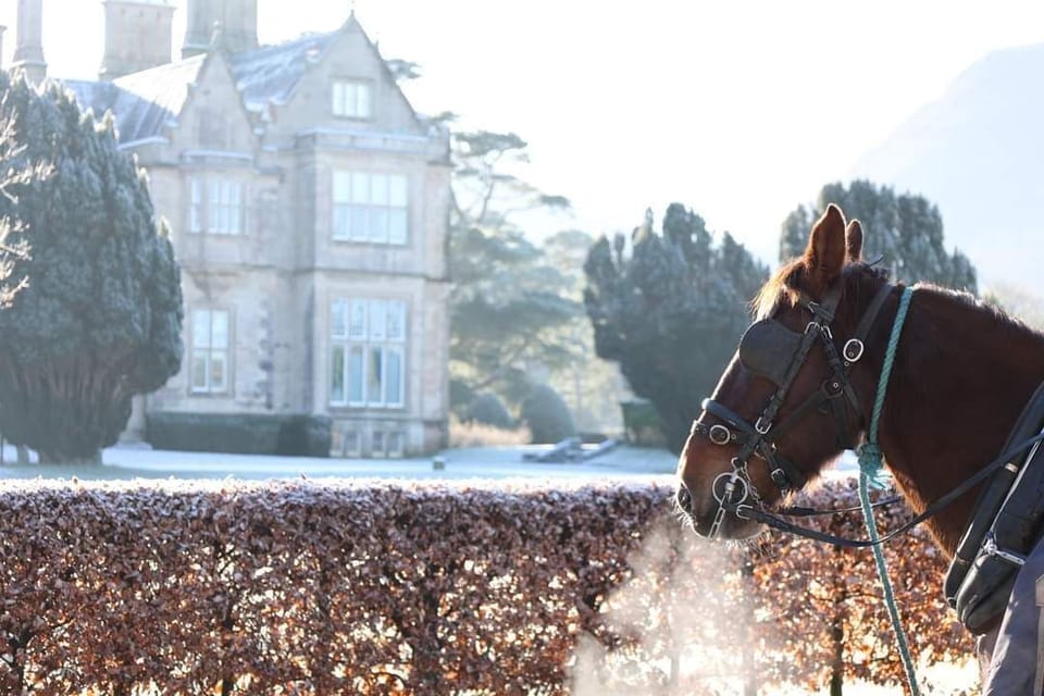 Muckross House