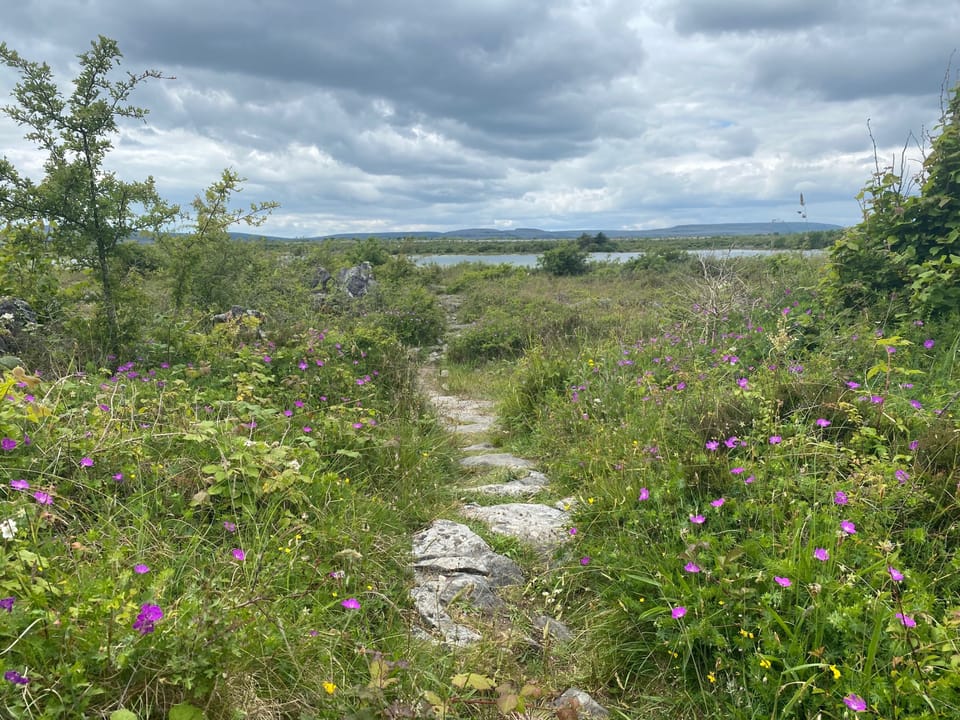 The stunning Lough Bunny is 5 mins away and is a safe, shallow lake for wild swimming.