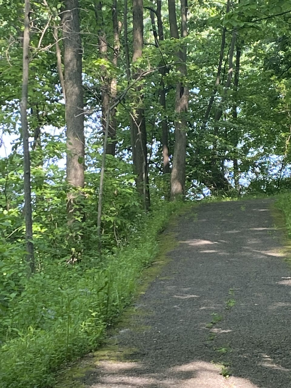 Lots of walking paths around the Territory.  