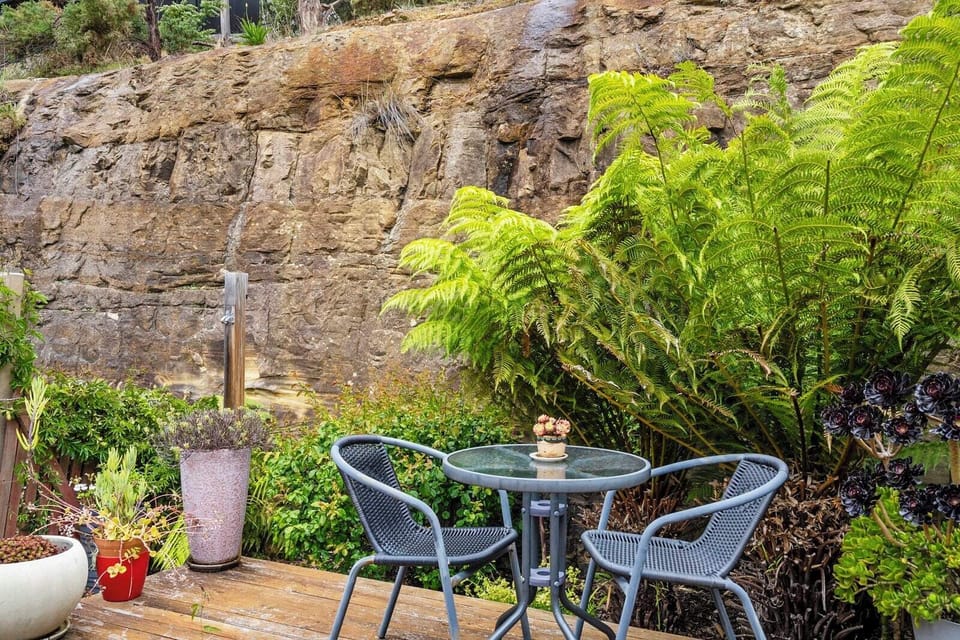 amazing private court yard, with a delightful garden, BBQ and outdoor setting.