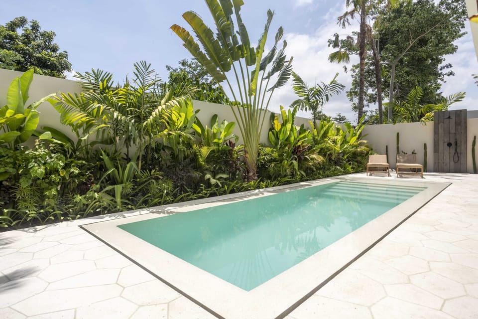 A swimming pool with daybeds, an outdoor shower, and a lush garden
