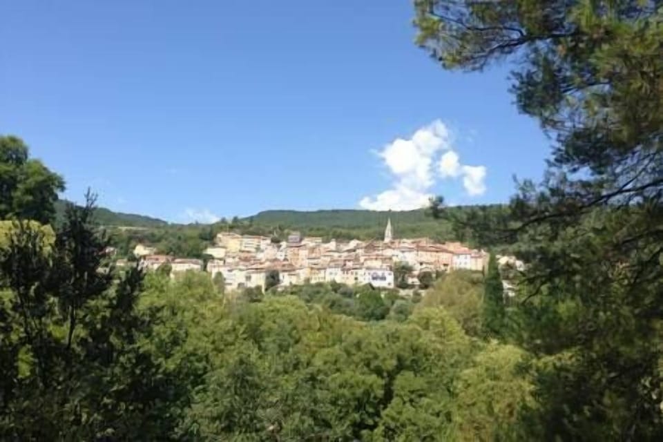 Lovely village of Callas, home of olive oil