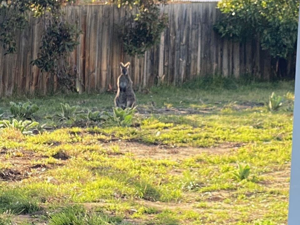One of the locals