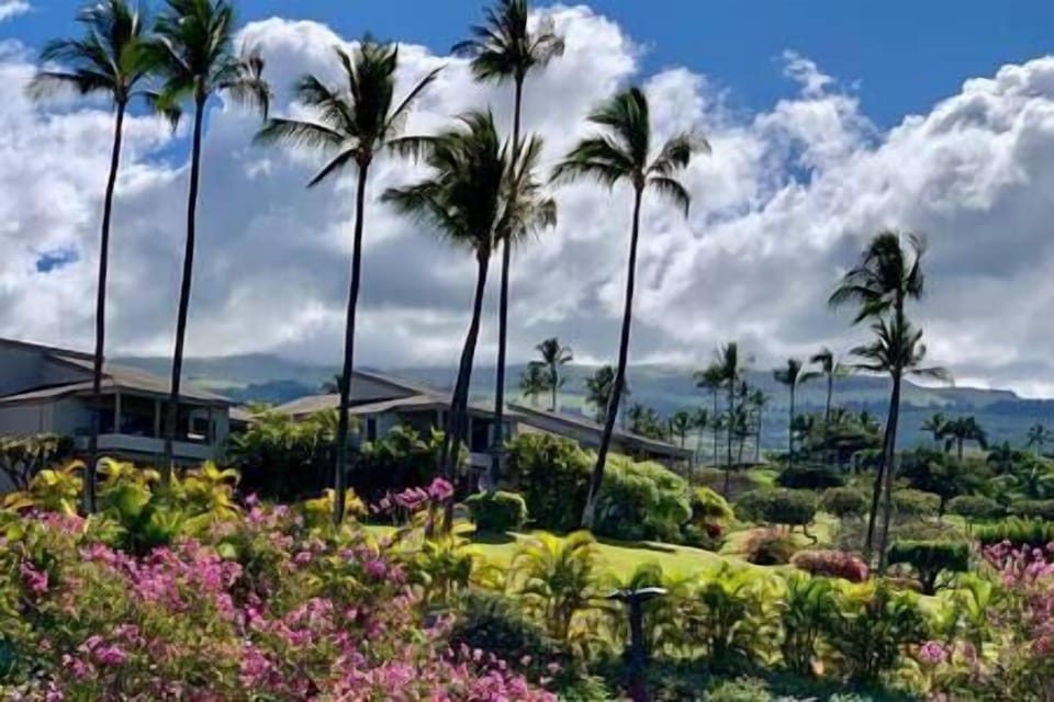 Wailea Ekolu 505