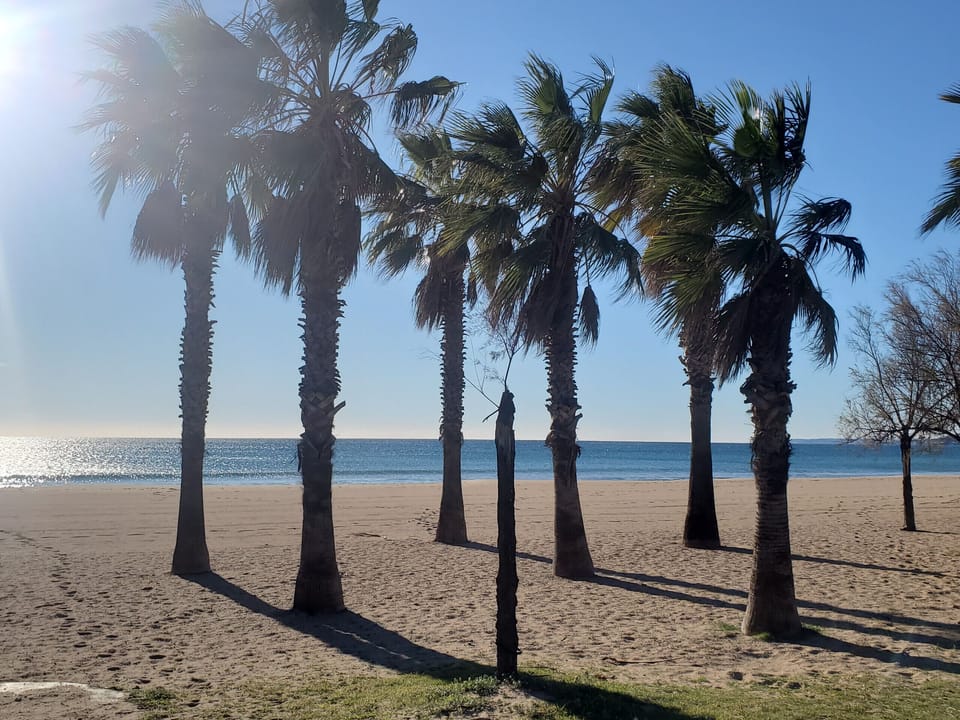 Beach