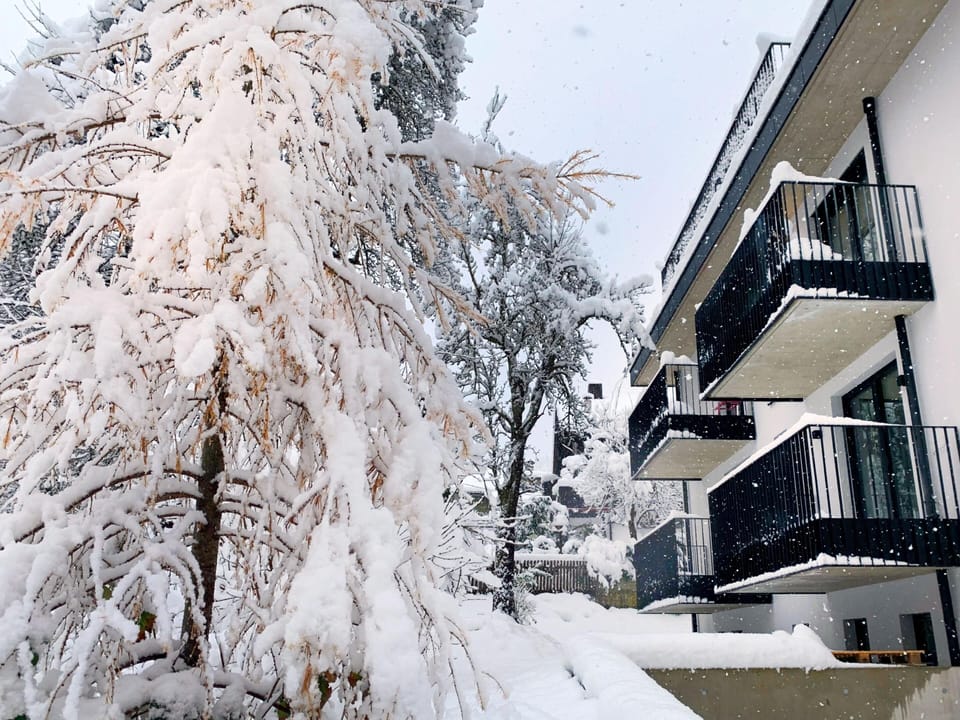 Holiday Home Exterior [winter]