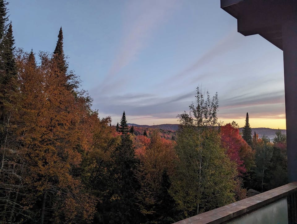 View from property