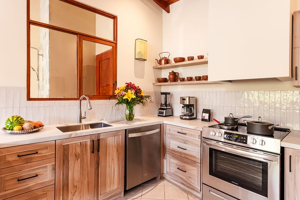 Kitchen is equipped with an induction stove, dishwasher, blender and fridge.