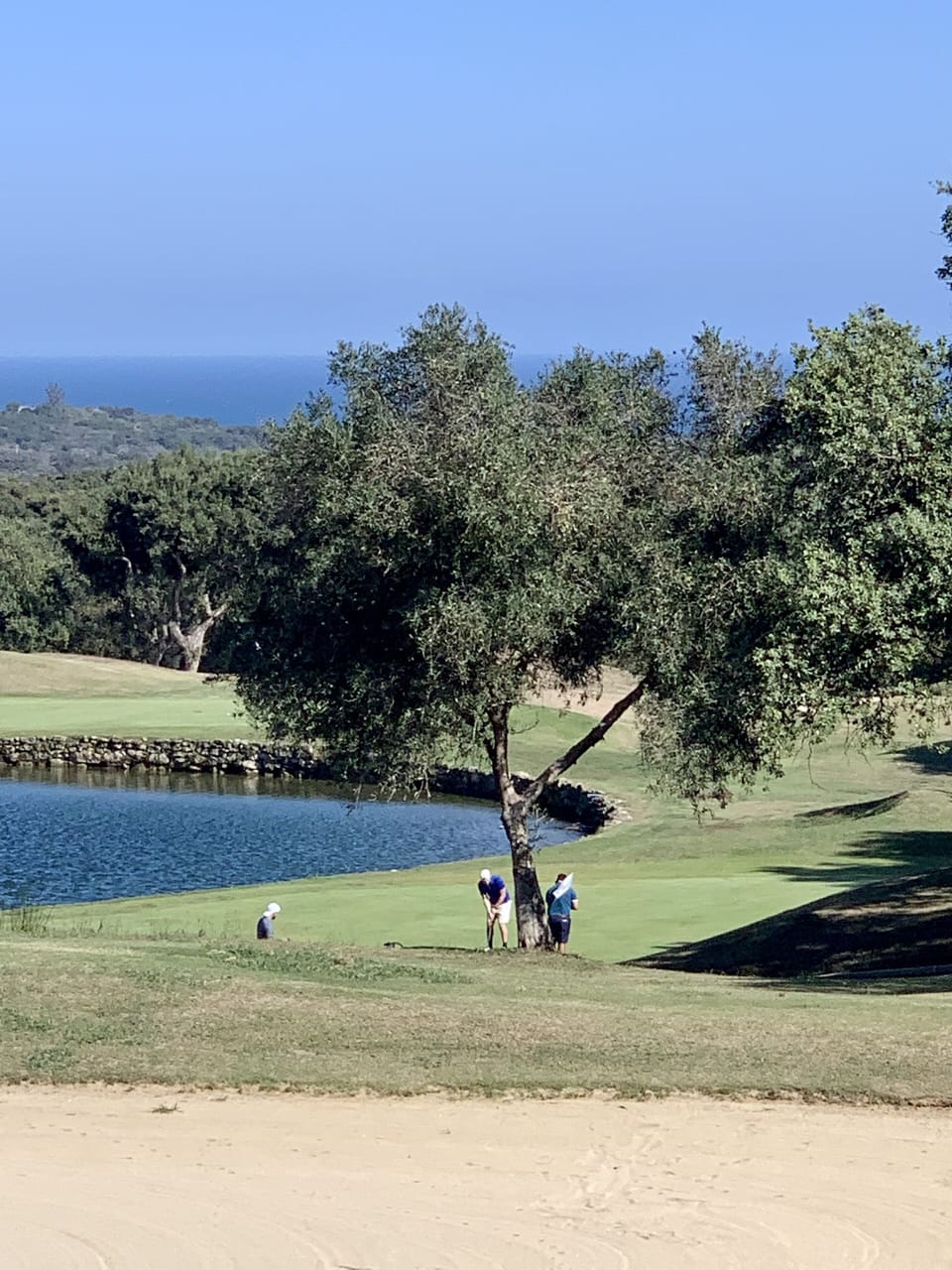 Golf
