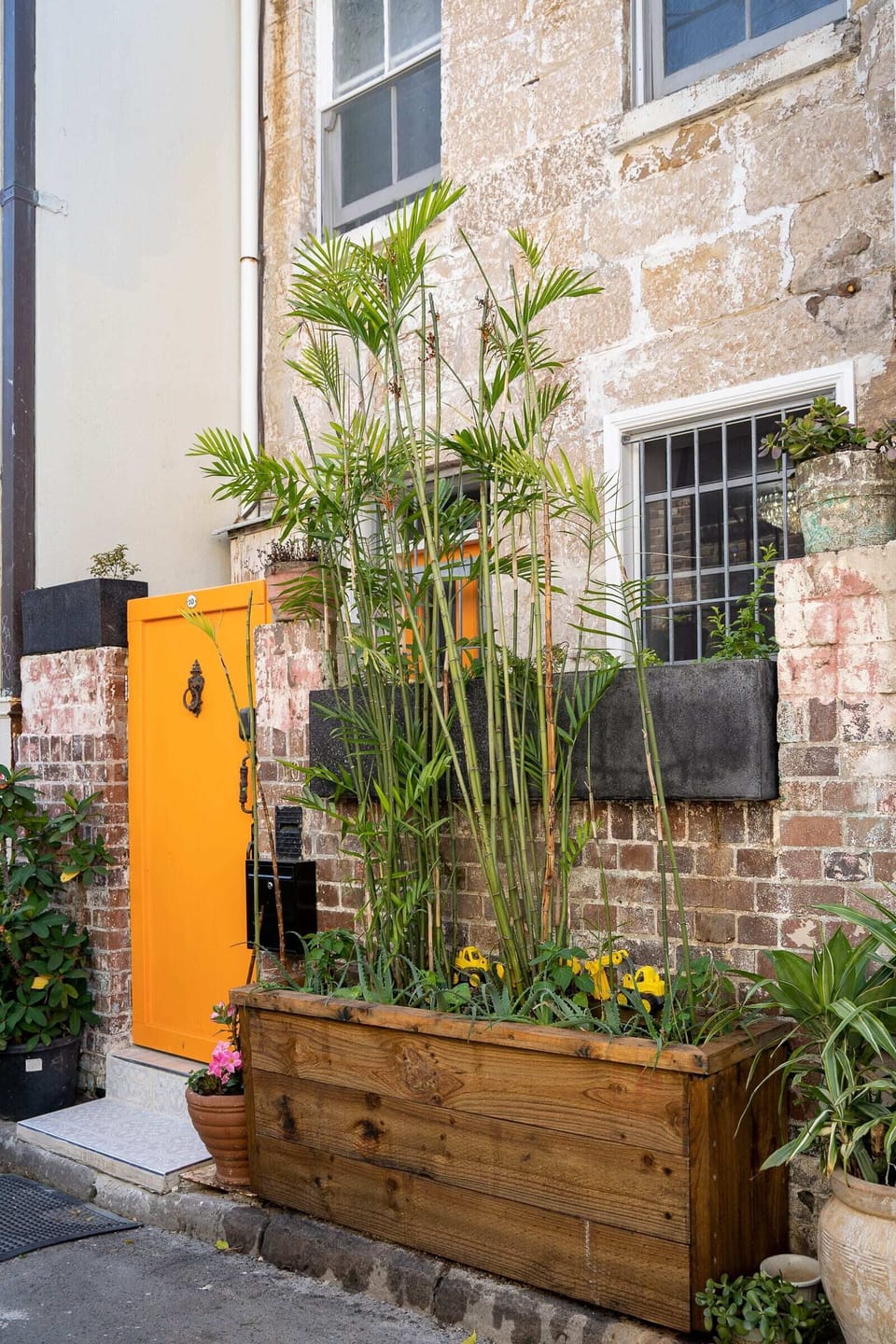 Classic Sydney Terrace with an instantly recognisable front door